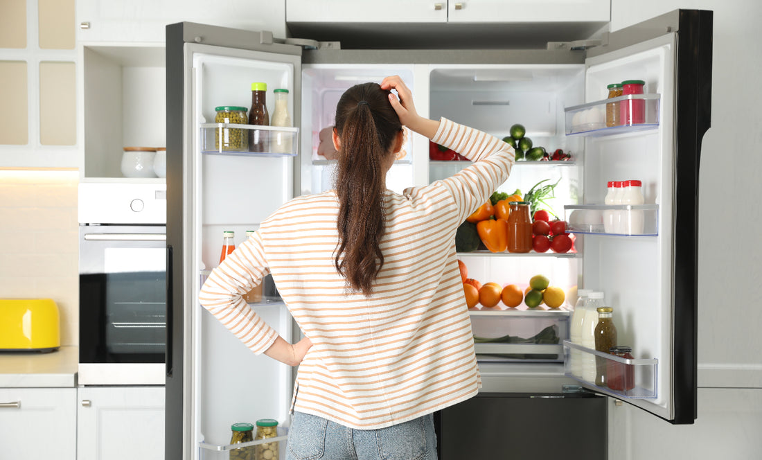 Ternyata Ini Perbedaan Freezer dan Kulkas!